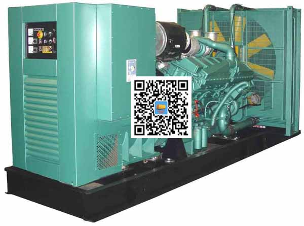 望谟笼型异步发电机的电力电子控制技术